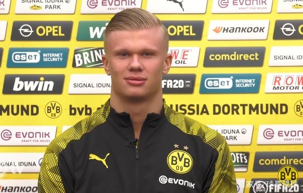 近年的市场 近年的市场